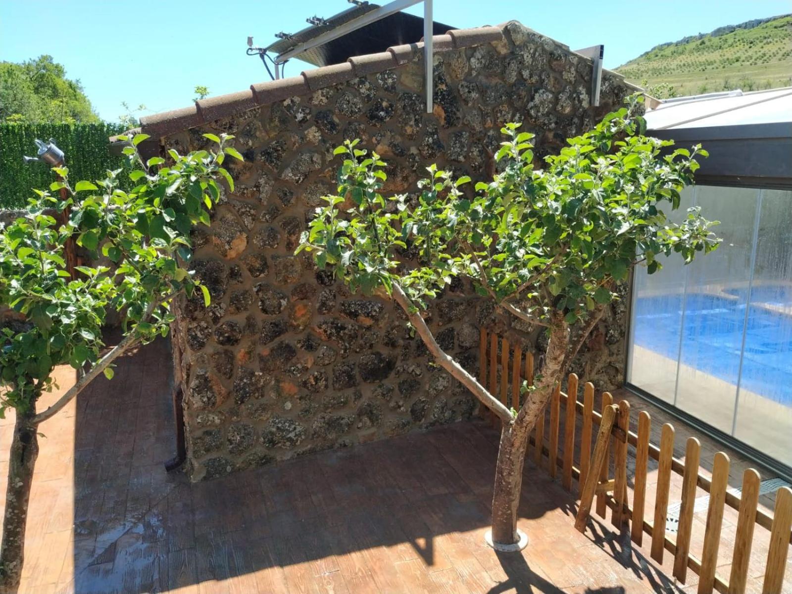 El Encuentro Del Duraton Villa Castro de Fuentidueña Buitenkant foto