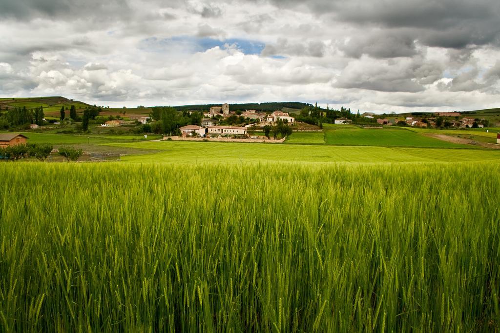 El Encuentro Del Duraton Villa Castro de Fuentidueña Buitenkant foto